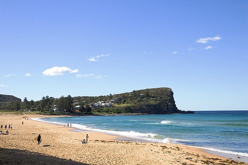 Avalon Beach looking south to the headland, with houses among the trees above the sand
