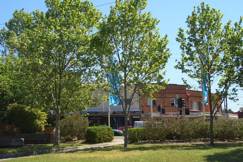 Shops seen through plane trees at the corner of Bexley Road and Slade Road, Bexley North