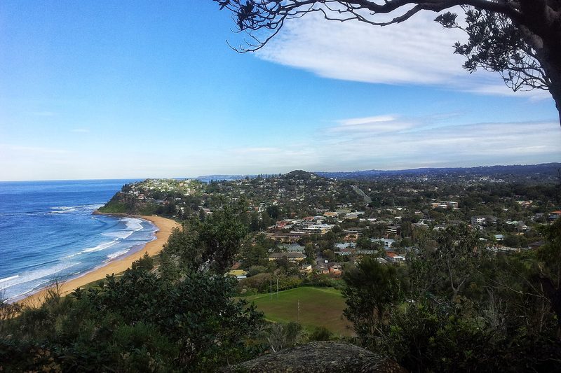 The view south east from Attunga Reserve on Bilgola Plateau, over houses to the coast