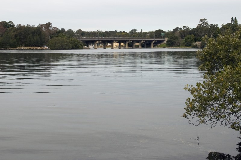 Fig Tree Bridge over the Lane Cove River, seen from Boronia Park