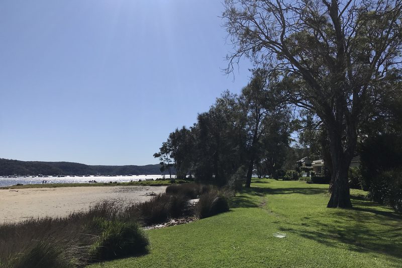 The grassed foreshore and sand flat at Careel Bay at low tide, looking across Pittwater