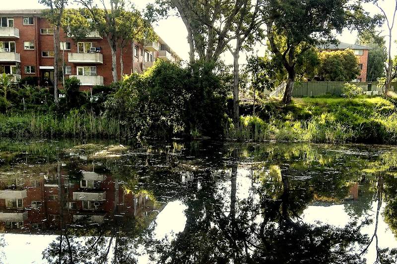 Prospect Creek at Carramar, with brick flats reflected in the water