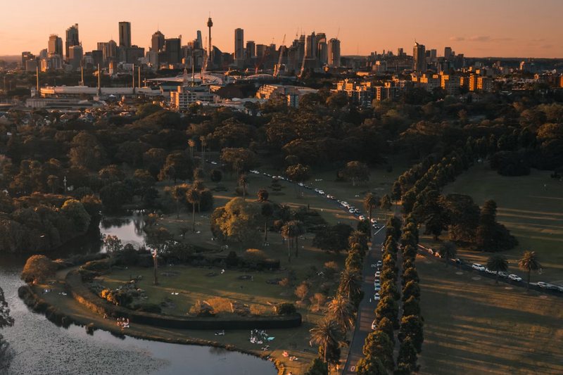 Aerial view over the ponds and fig avenues of Centennial Park at sunset, with the city beyond