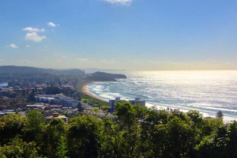 The view north along the coast from Collaroy Plateau, over rooftops and treetops to the beach