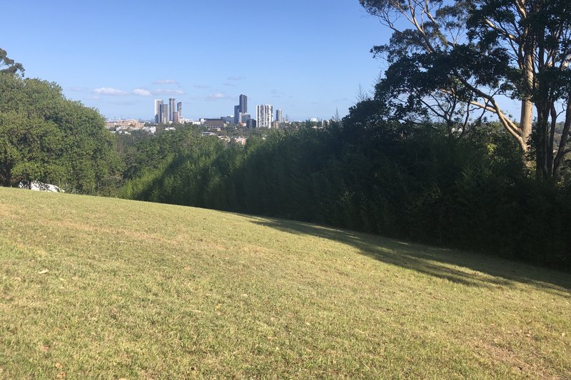 Mount Dorothy at Constitution Hill, looking across the treetops to the Parramatta skyline