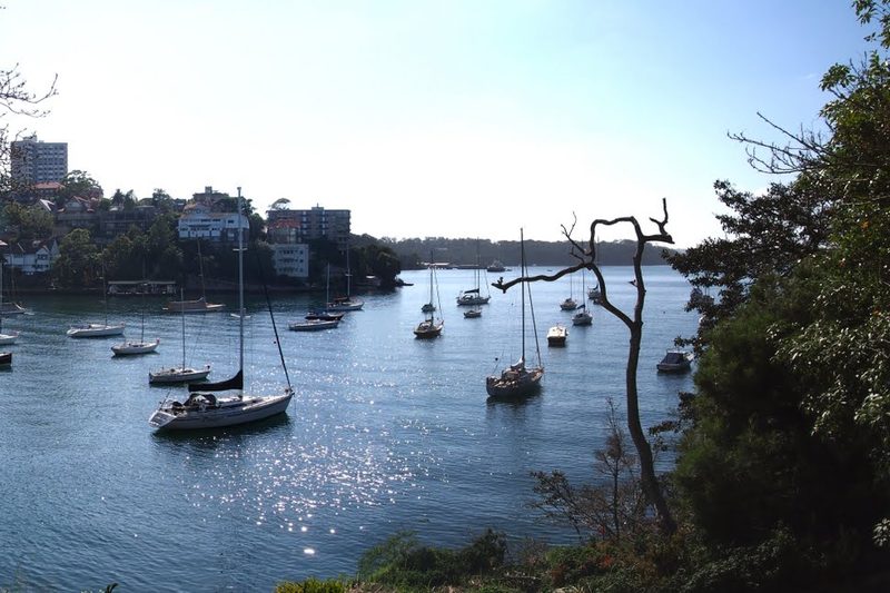 Yachts moored off Cremorne Point, with the suburb on the hillside beyond