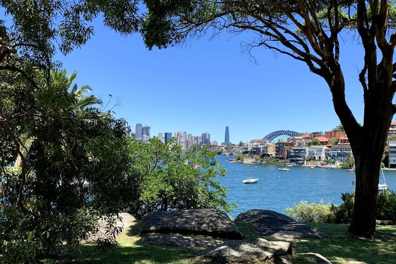 The harbour seen through trees from the foreshore reserve at Cremorne