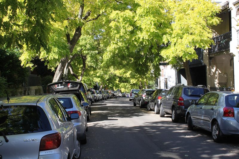 Tree-lined Womerah Avenue in Darlinghurst, with terraces and parked cars