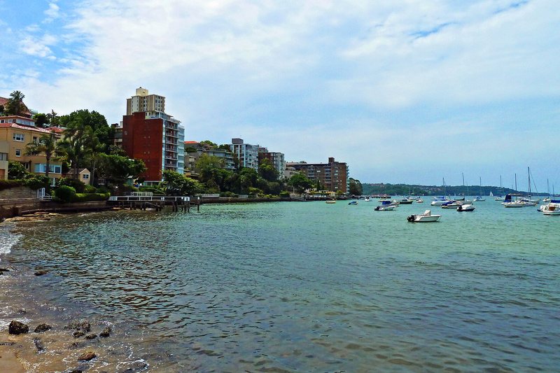 The waterfront at Double Bay from Steyne Park, with apartment blocks along the shore and boats moored offshore