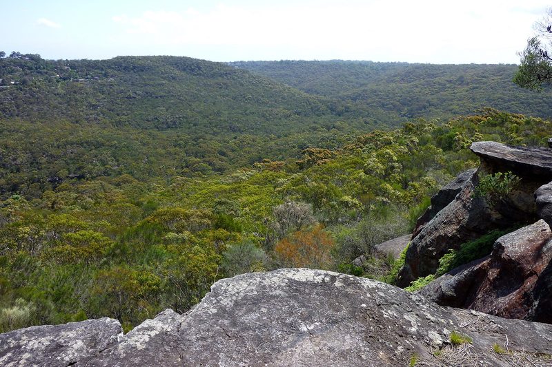 Sandstone outcrop and bushland valley in Garigal National Park