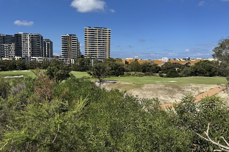Apartment towers and the shopping centre seen across the golf links from Mutch Park at Eastgardens