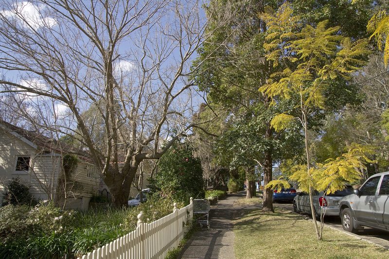 Leafy residential street in Gordon, with a white picket fence and weatherboard house