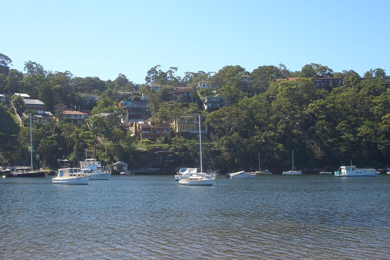 Boats moored below houses set into the bushy hillside at Grays Point
