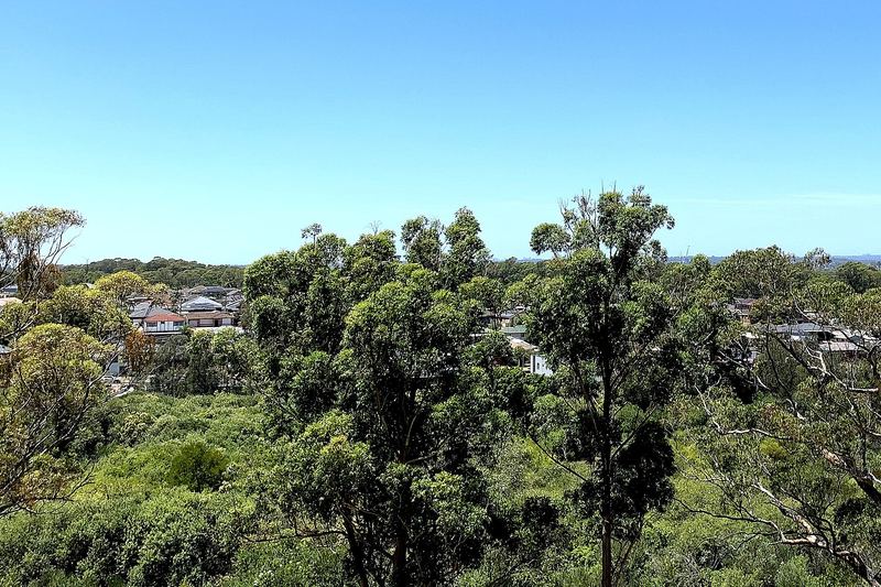 Rooftops of Greystanes houses among heavy tree cover, looking across Gipps Road