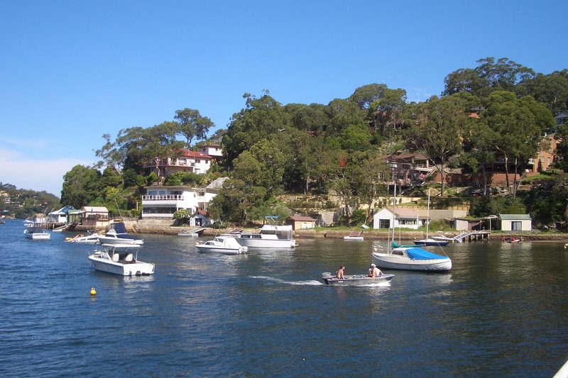 Houses set into the bushland above the moorings at Gymea Bay