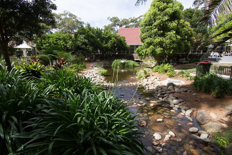 A rock-lined creek running through landscaped gardens in Gymea