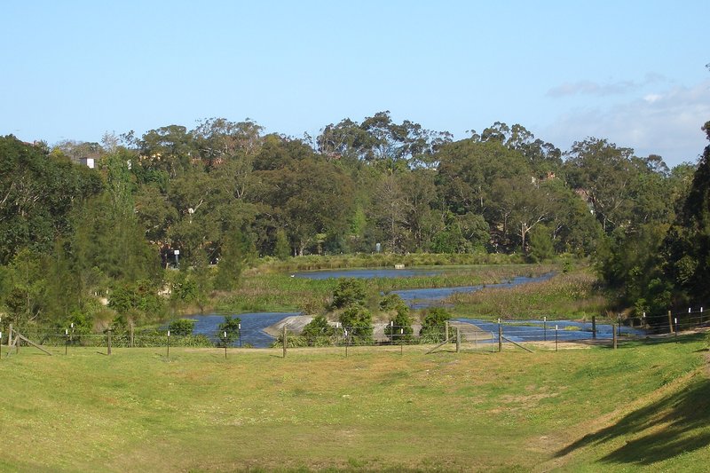 Wetland and reserve below the wooded ridge of houses at Hurstville Grove