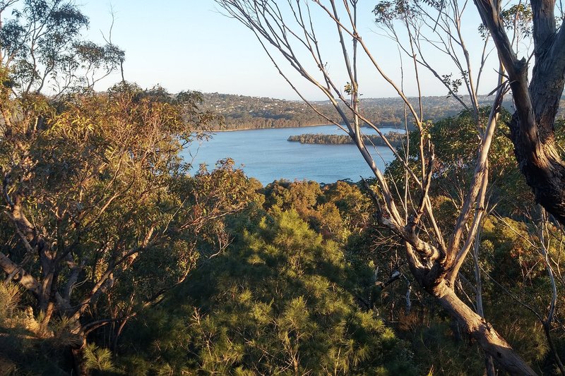 The view from the Ingleside plateau over bushland to Narrabeen Lagoon
