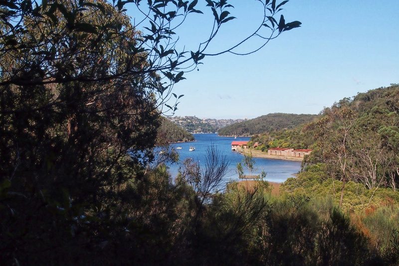 A view through the bushland at Killarney Heights out over Middle Harbour