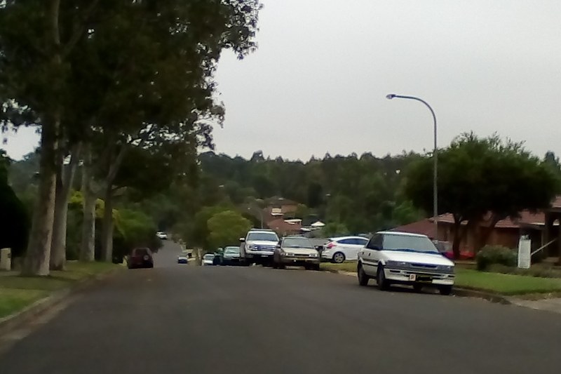 A residential street in Kings Park lined with gums and parked cars