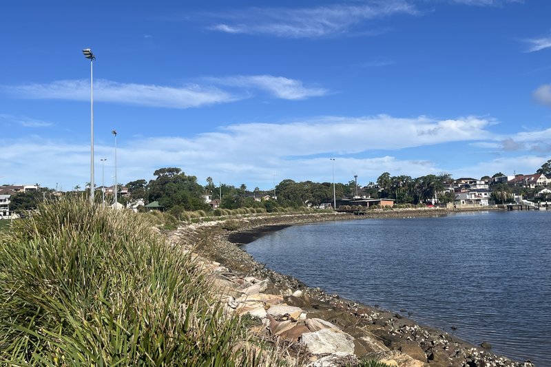 The rocky shoreline of Kogarah Bay with houses along the far shore