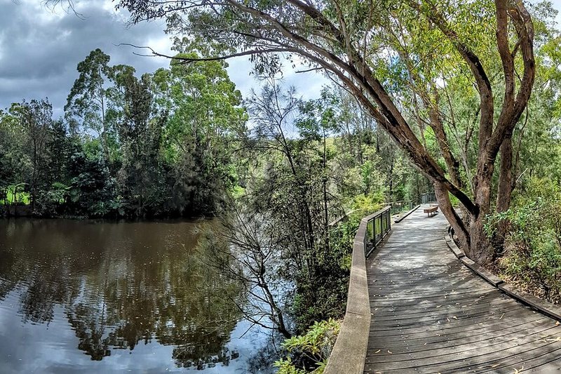 Boardwalk beside the Lane Cove River in Lane Cove National Park