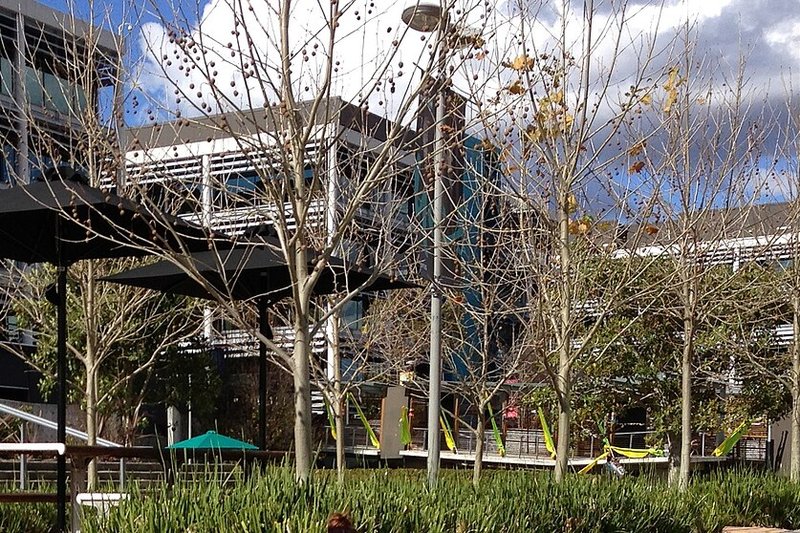 Landscaped grounds and office buildings at Macquarie Park