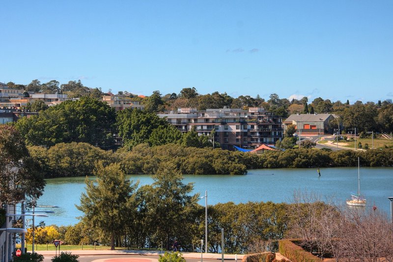 Apartment buildings above the Parramatta River at Meadowbank, with mangroves along the shore