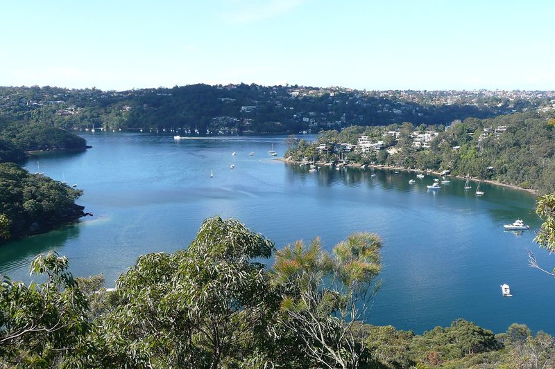 Sugarloaf Bay on Middle Harbour, seen from Middle Cove