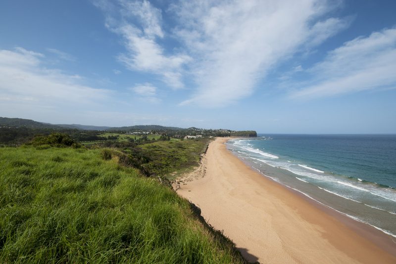 Mona Vale beach curving north towards the headland, seen from the grassed dune