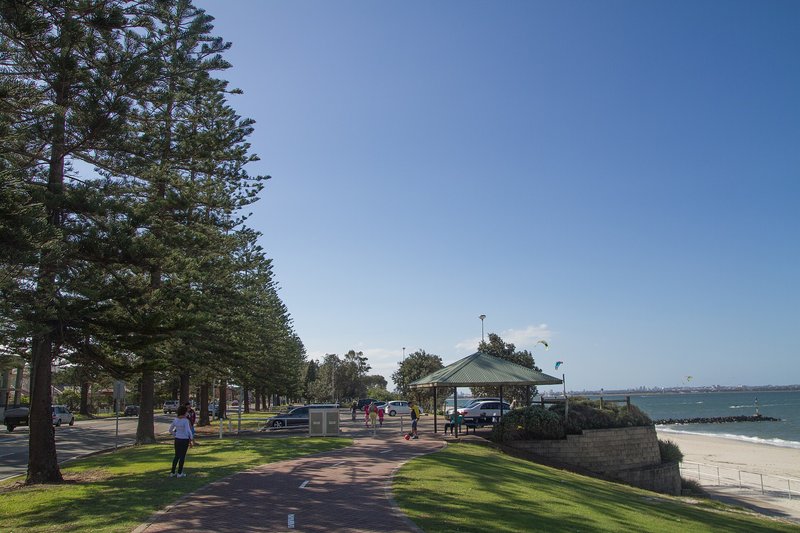 The Norfolk pines and foreshore path along Botany Bay at Monterey