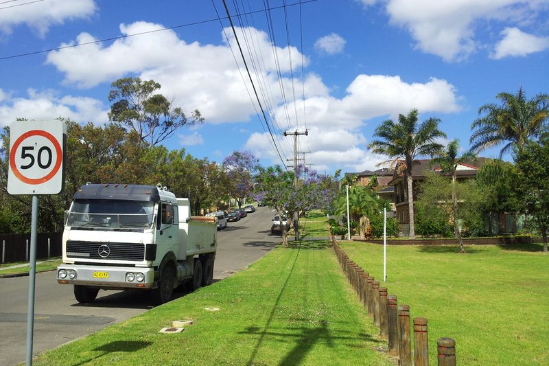 A residential street in Mount Lewis with jacarandas in flower