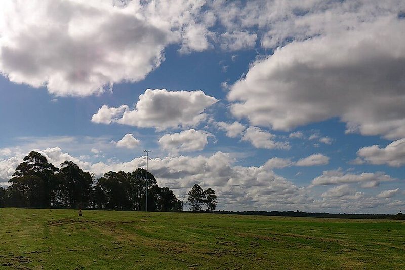 Open parkland under a cloudy sky at North Turramurra