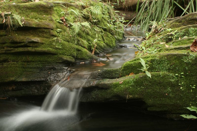 A small cascade over mossy sandstone on Lovers Jump Creek