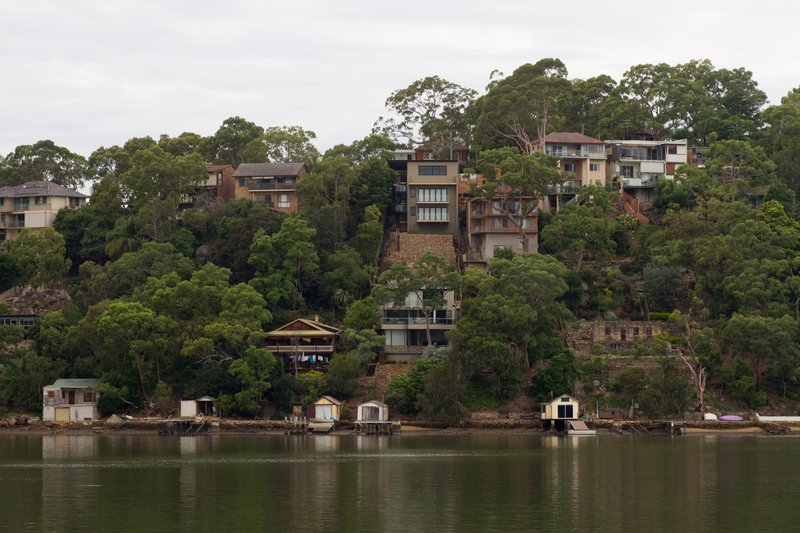 Houses stepping down the wooded slope to the Georges River at Oatley, with boatsheds along the shore