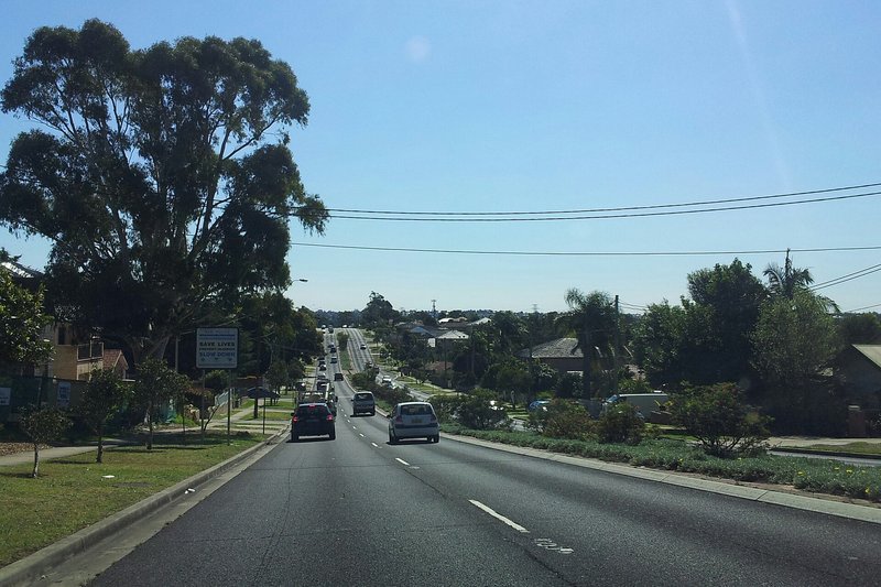 A wide divided road running downhill past houses and gum trees in Padstow