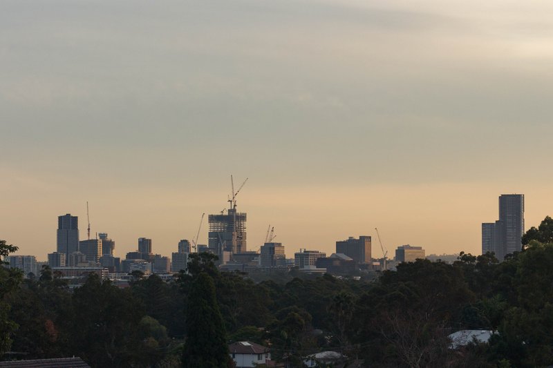 The Parramatta skyline at dusk, seen across the treetops and rooftops of the surrounding suburbs