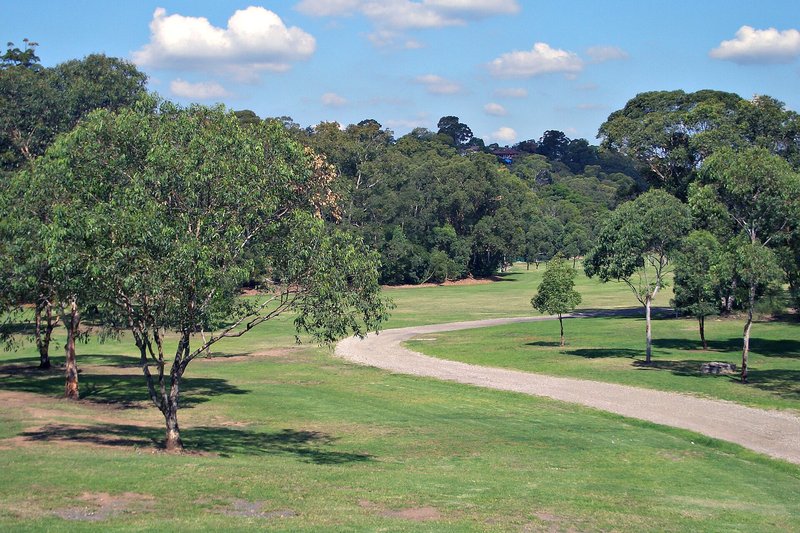 A gravel path curving through the open lawns and gum trees of Gannons Park, Peakhurst Heights
