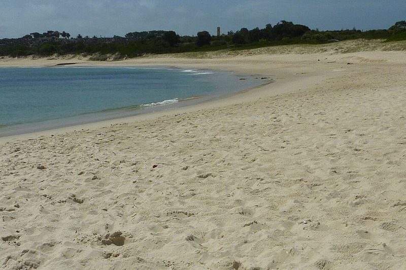 Yarra Bay beach, on the northern side of Botany Bay at Phillip Bay