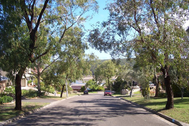 A tree-lined residential street at Port Hacking running down towards the water