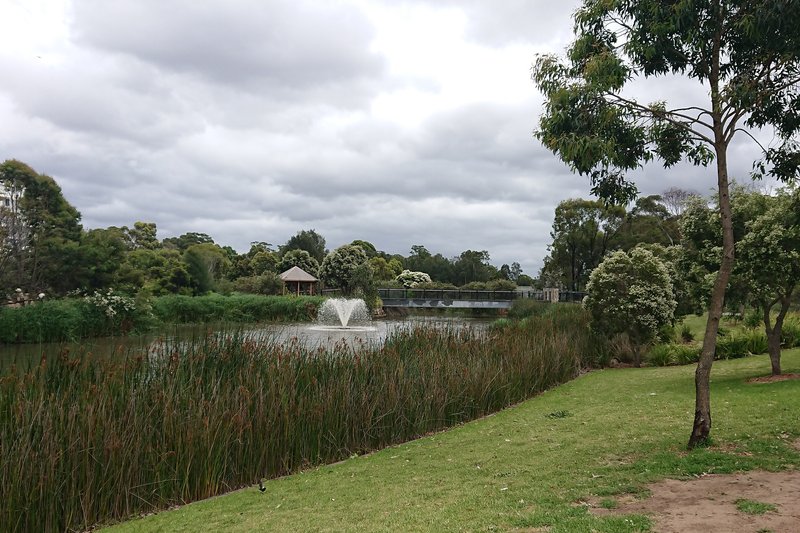 The pond and cycleway at Riverwood Reserve, with an apartment block beyond the trees