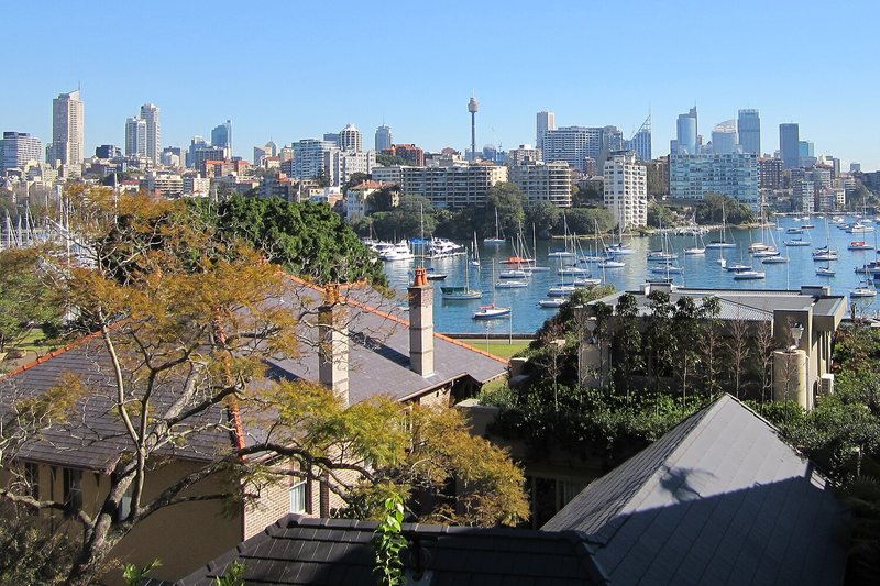 Yachts moored in Rushcutters Bay, with the city skyline beyond