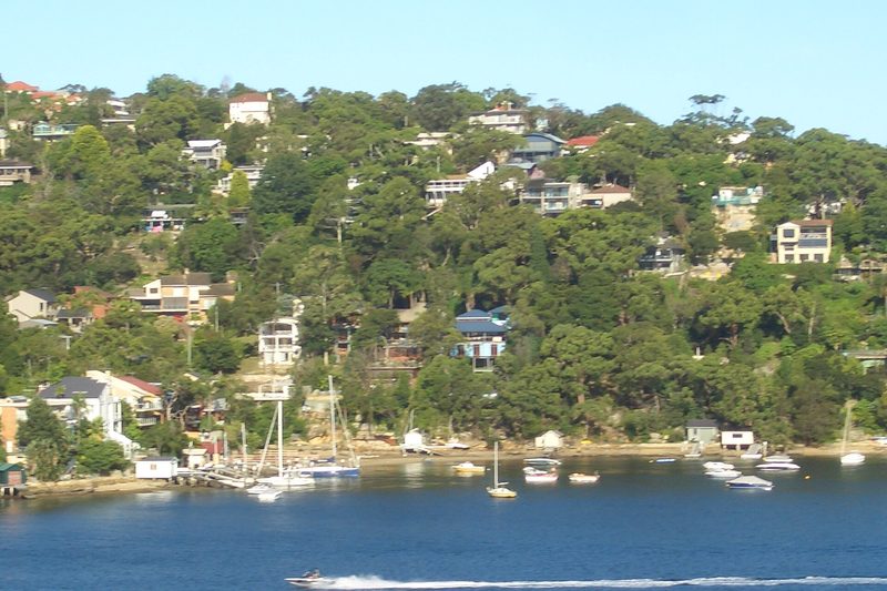 Seaforth's harbourside homes and moored boats, seen from Castlecrag