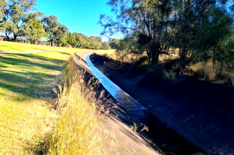 Clear Paddock Creek running through parkland at St Johns Park