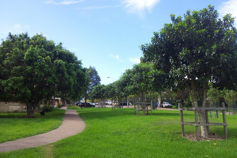 A footpath curving across a grassed reserve planted with young fig trees in Sutherland