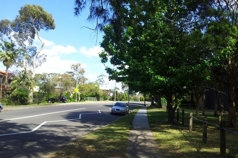 A tree-lined residential street in Terrey Hills