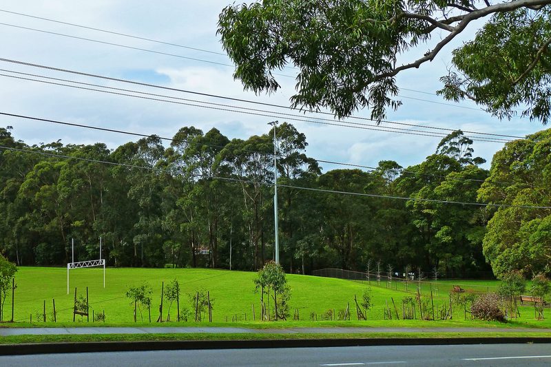 Playing fields and bushland at Bicentennial Park, West Pymble
