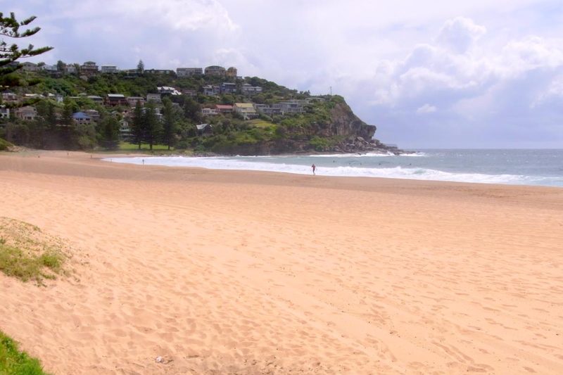 The wide sand at Whale Beach, with houses on the headland above the surf