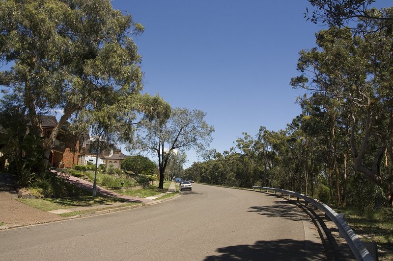 Brick homes along Warrangaree Drive at Woronora Heights, with bushland on the far side of the road